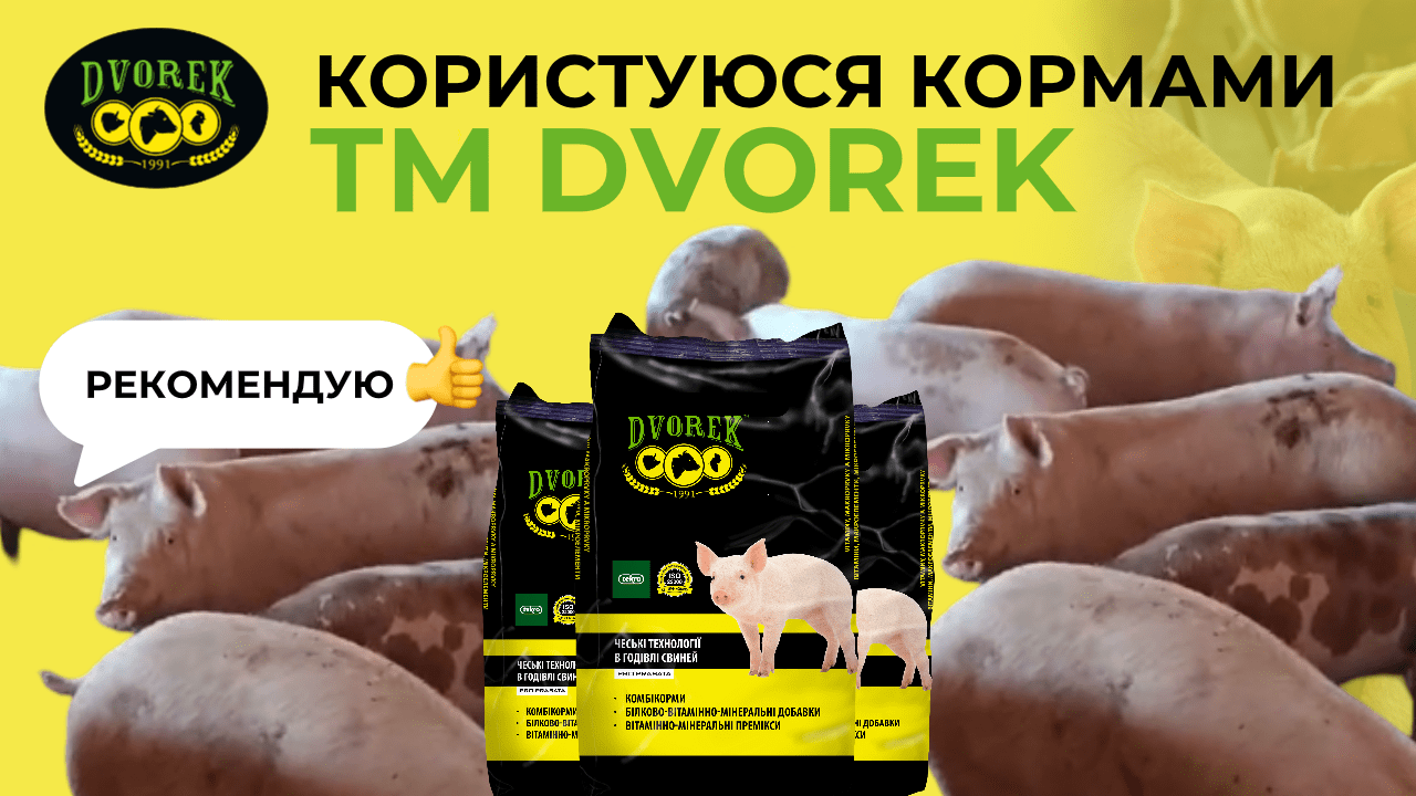 Користуюся кормами ТМ DVOREK. Рекомендую!