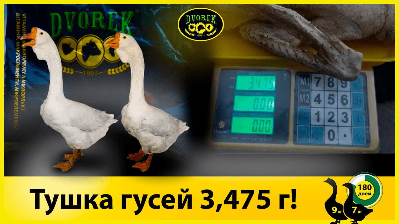 Тушка гусей 3,475 г!