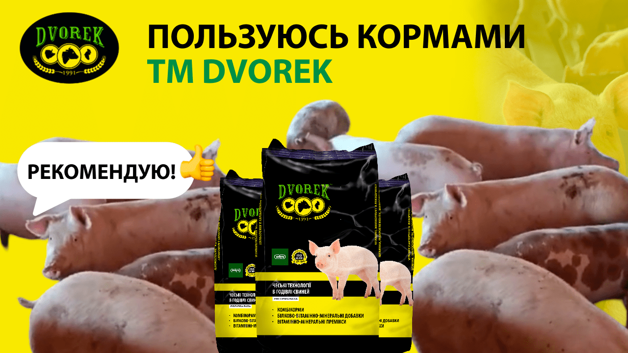 Пользуюсь кормами ТМ DVOREK. Рекомендую!