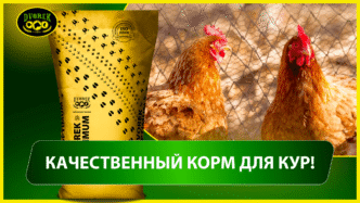 Качественный корм для кур! Качественный корм для кур!