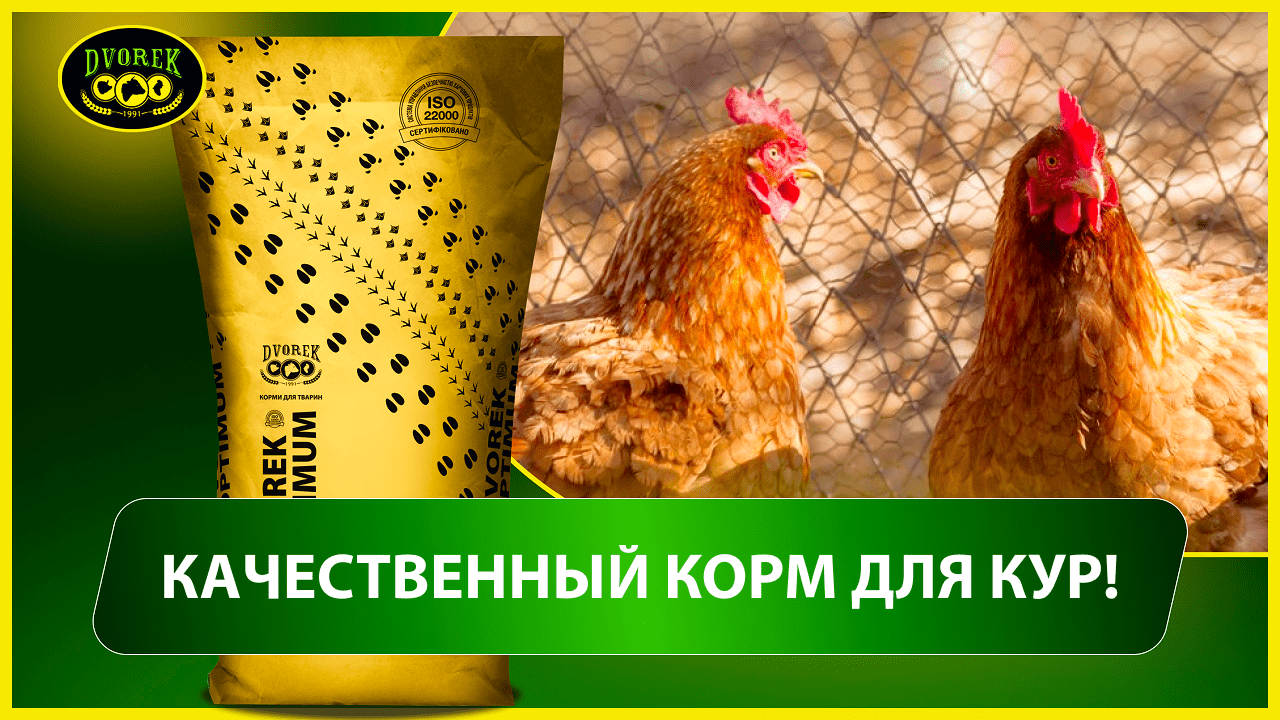 Качественный корм для кур!