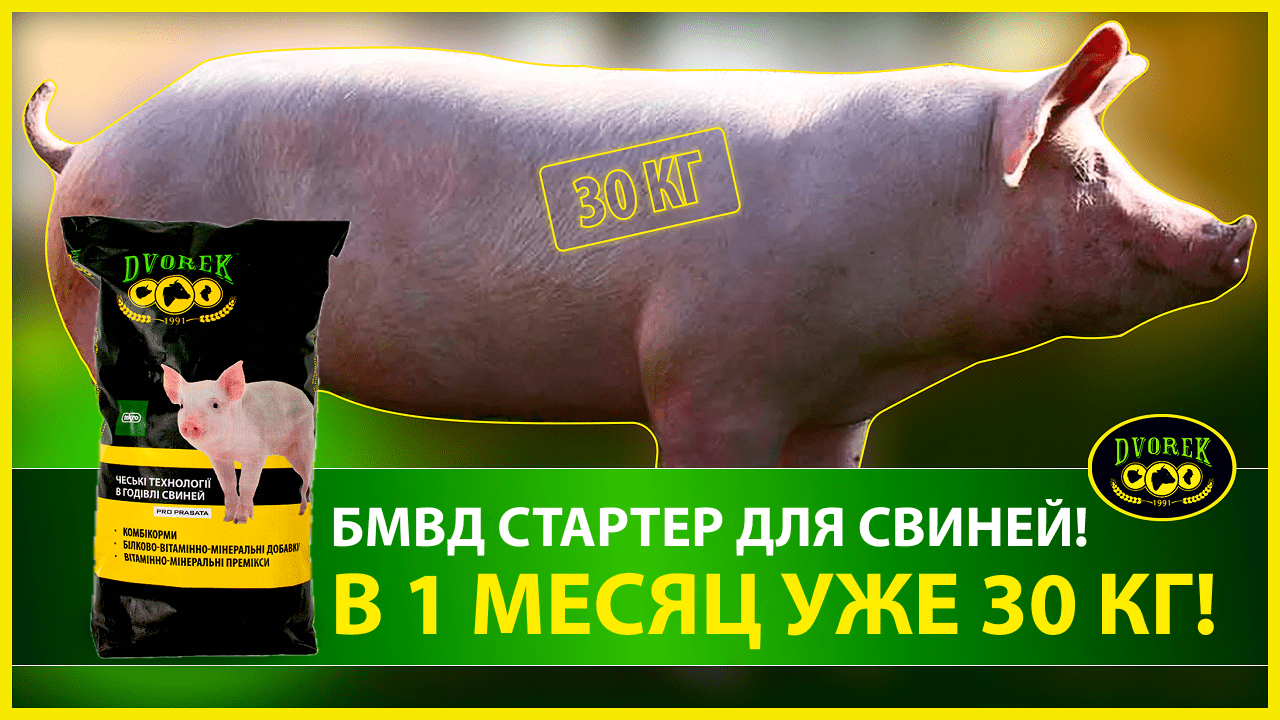 БМВД СТАРТЕР для свиней! В 1 месяц уже 30 кг!
