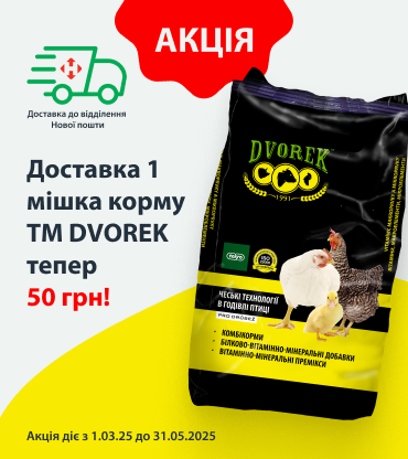 Головна - Українська
