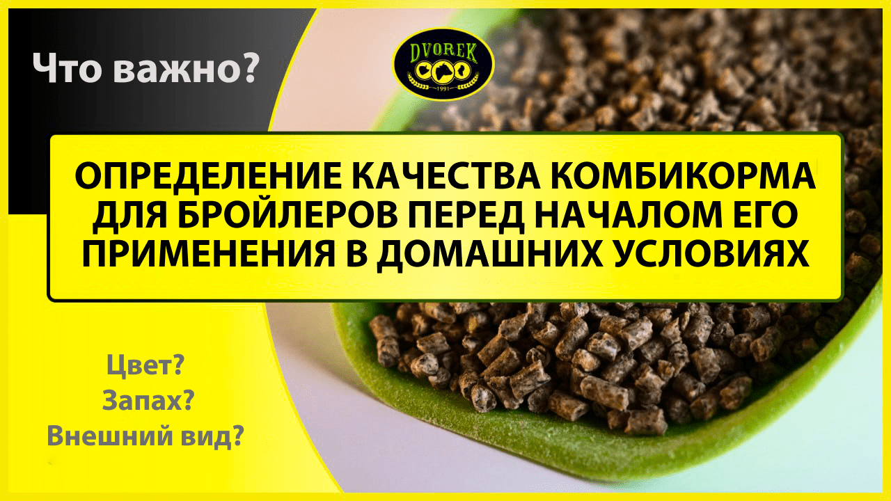 Определение качества комбикорма для бройлеров перед началом его применения в домашних условиях