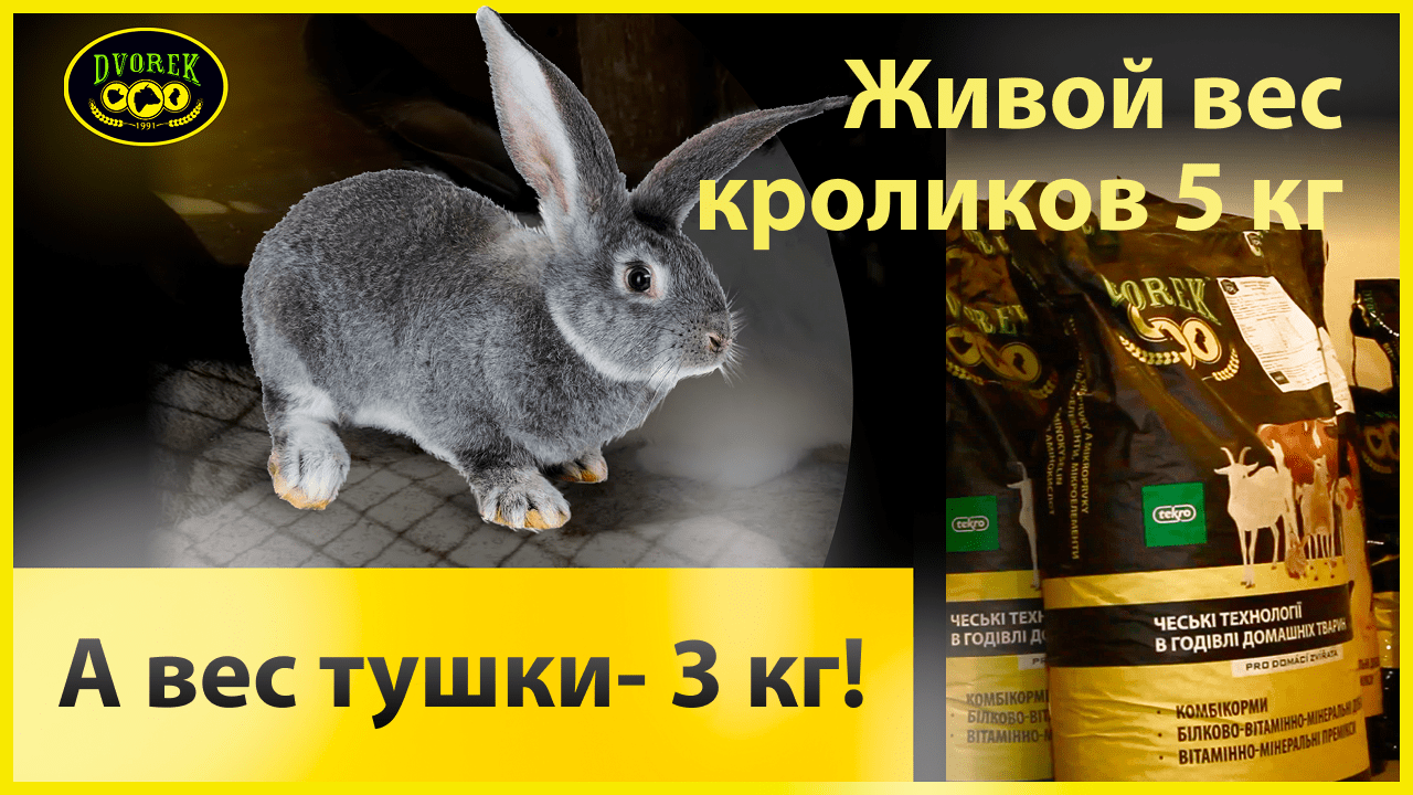 Живой вес кроликов 5 кг, а вес тушки- 3 кг!