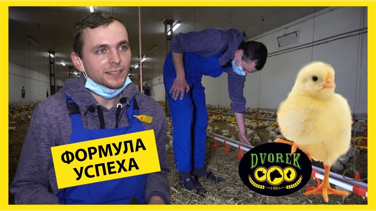 Формула успеха!