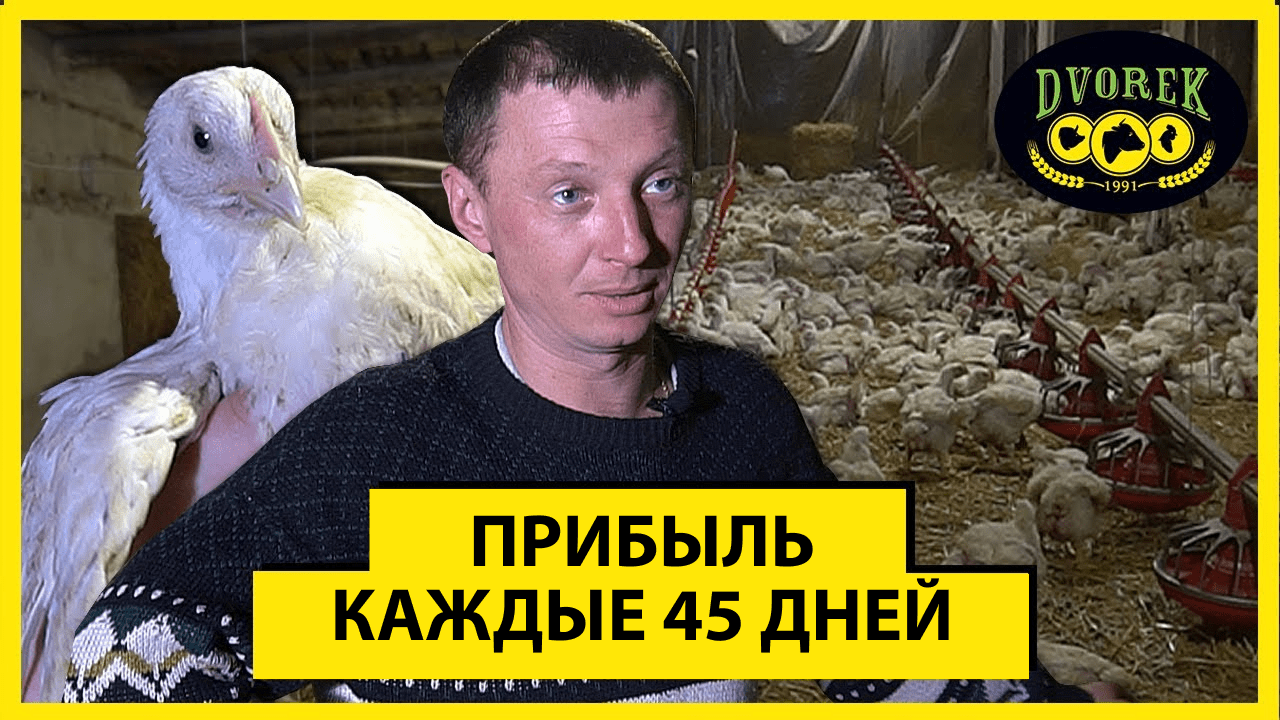 Бизнес, который приносит прибыль каждые 45-50 дней.