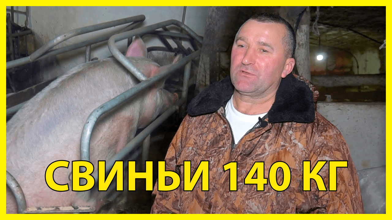 Зарабатывает тот, кто принимает смелые решения.