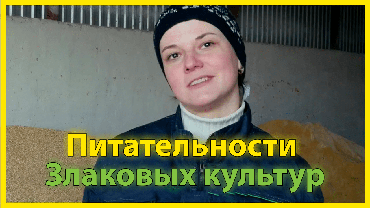 Выбираем компоненты к рациону