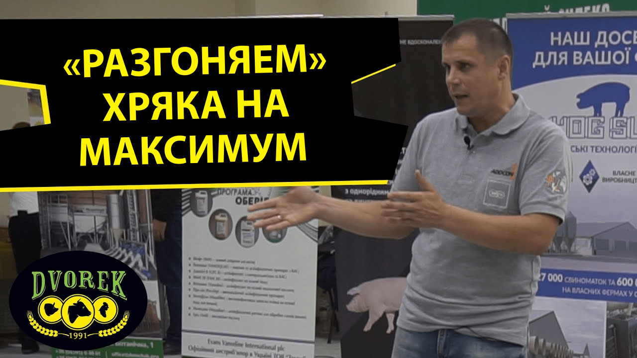 “Разгоняем” хряка на максимум!