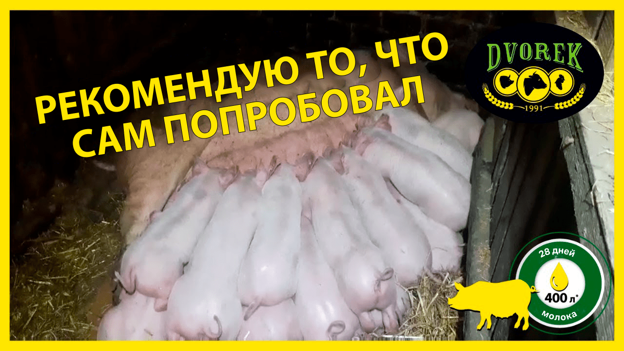Рекомендую то, что сам попробовал! – хозяин Максим из Сумщины.