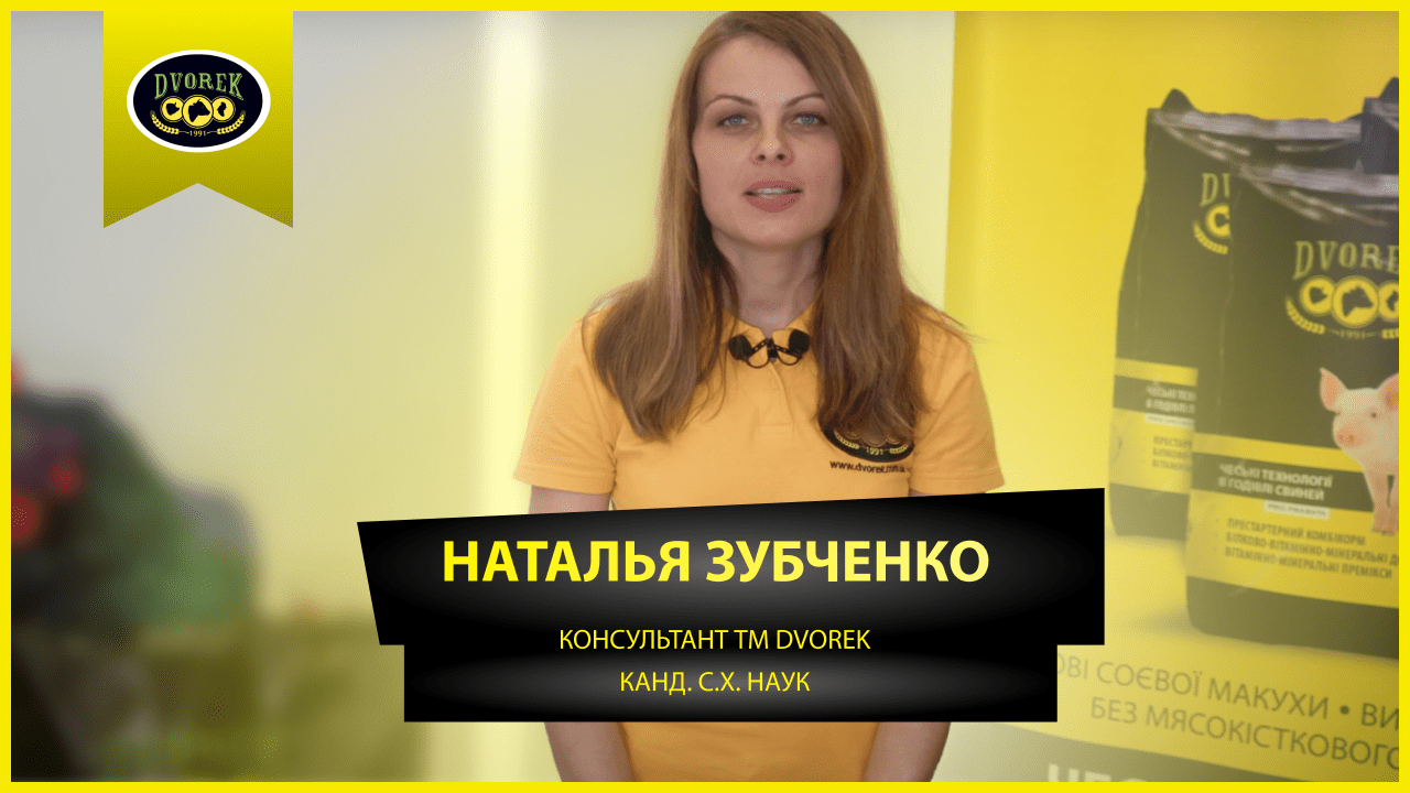 Как быстро вырастить бройлера и получить вкусное мясо?