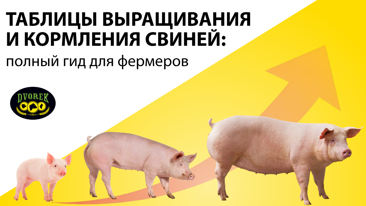 Таблицы выращивания и кормления свиней: полный гид для фермеров