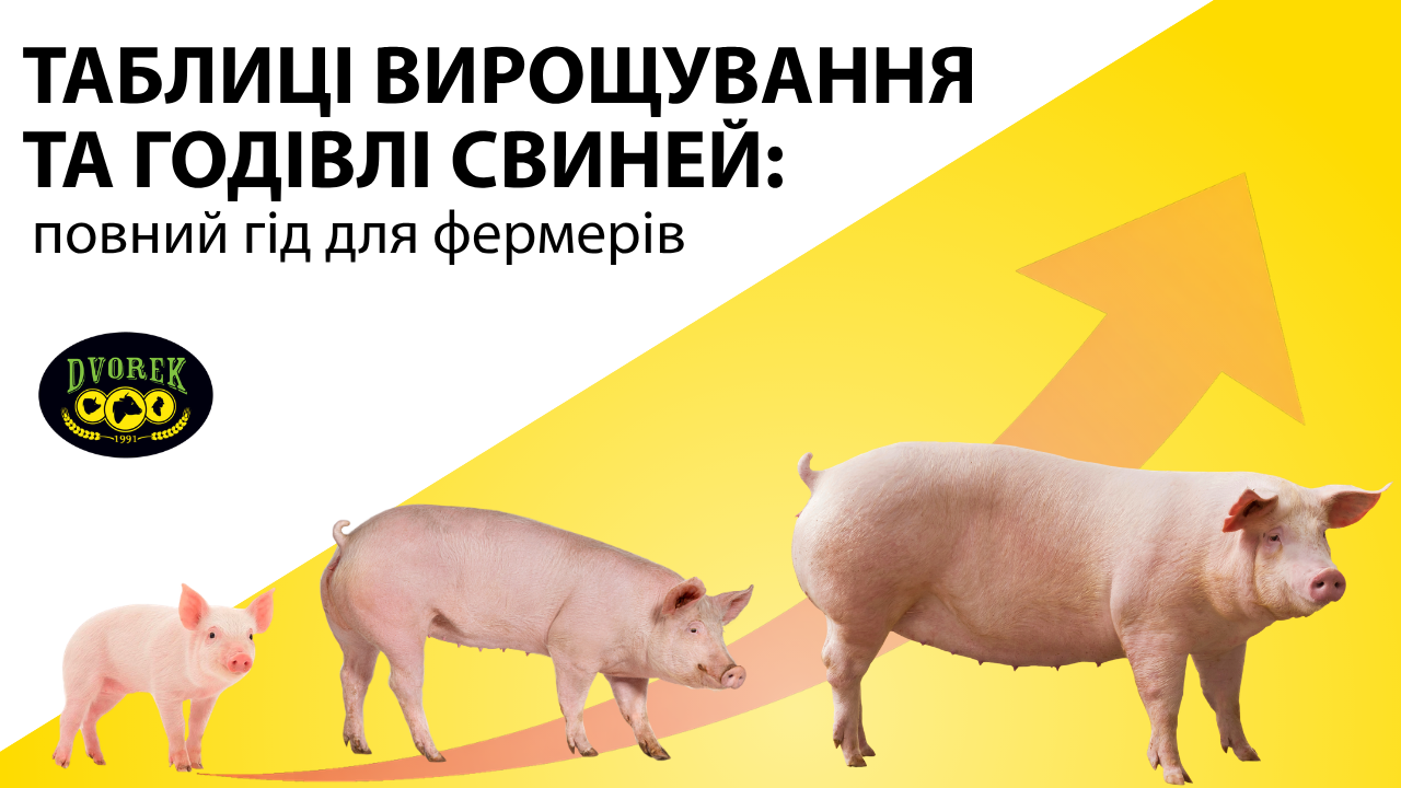 Таблиці вирощування та годівлі свиней: повний гід для фермерів